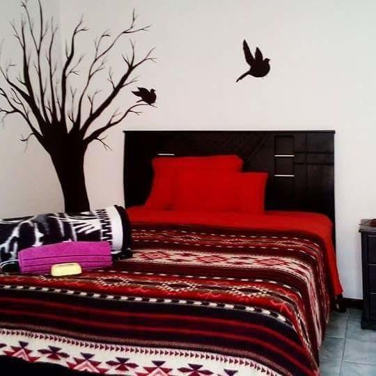The Backpacker Hostal Ibarra Ngoại thất bức ảnh