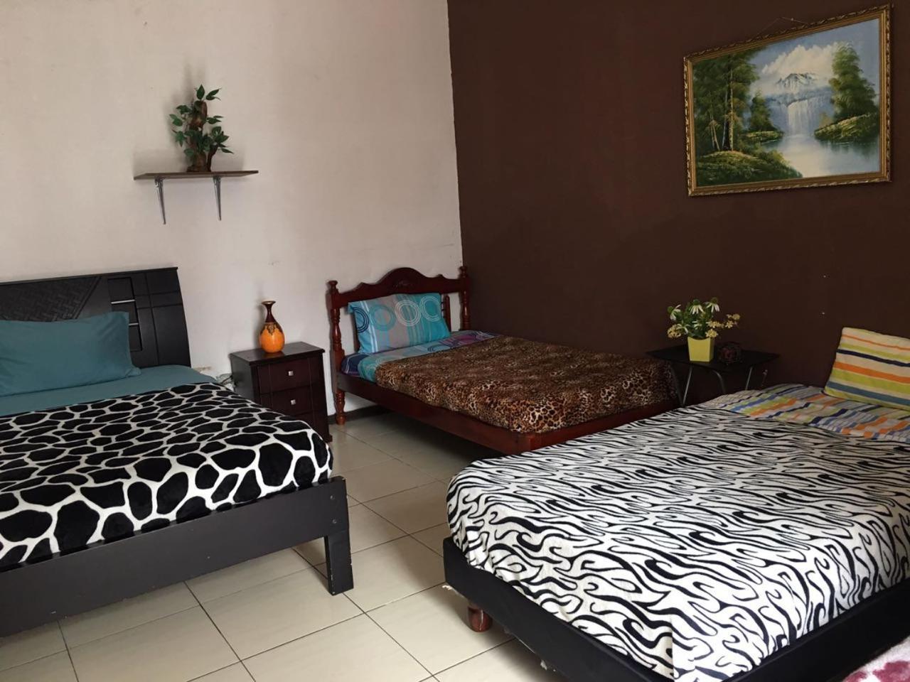 The Backpacker Hostal Ibarra Ngoại thất bức ảnh