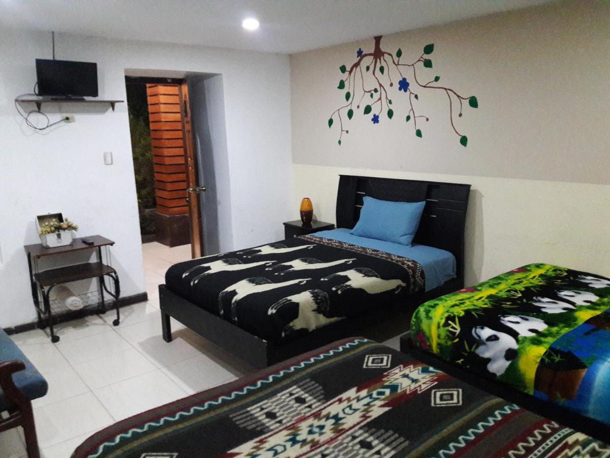 The Backpacker Hostal Ibarra Ngoại thất bức ảnh